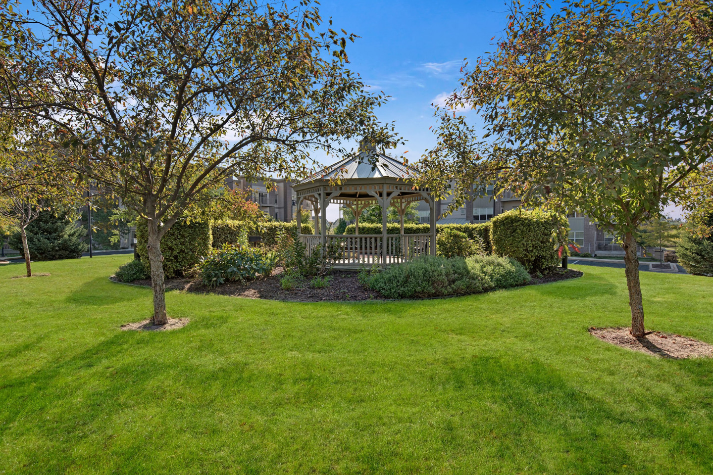 Swan Creek Image 12