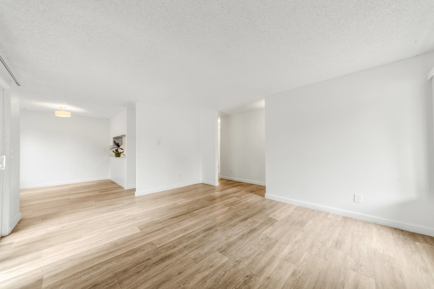 The Huntley Image 26