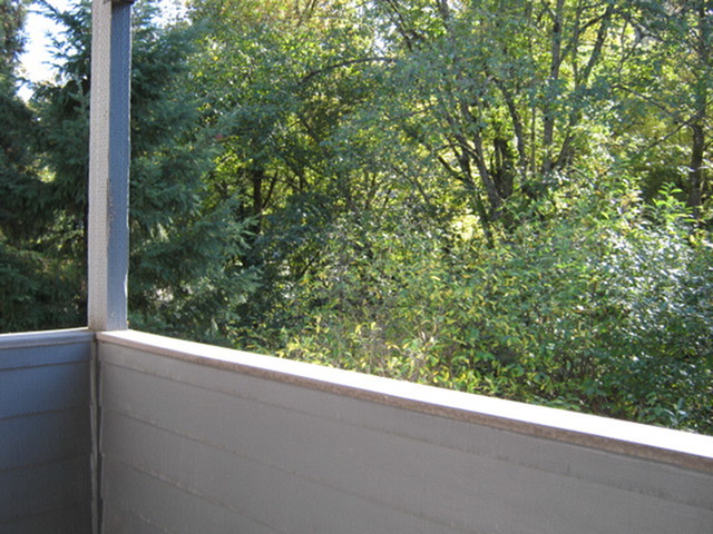 Colony Park Image 12