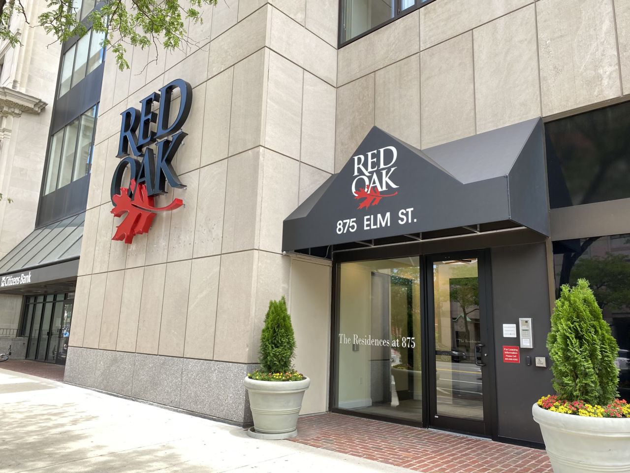 Red Oak at 875 Elm Street Image 4