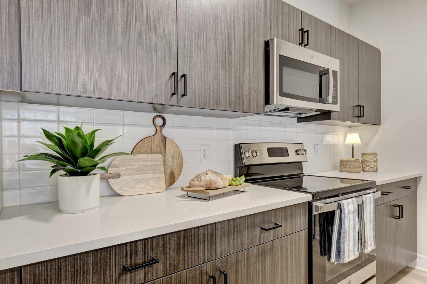 Tellus Bloom Apartment Homes Image 18