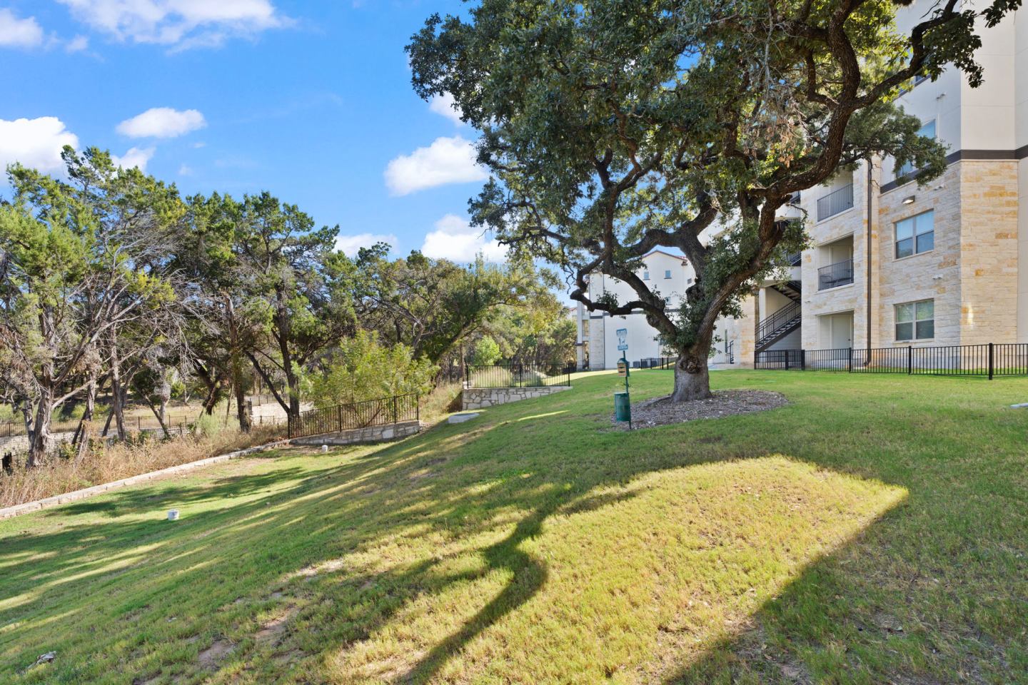 Water Oak Image 50
