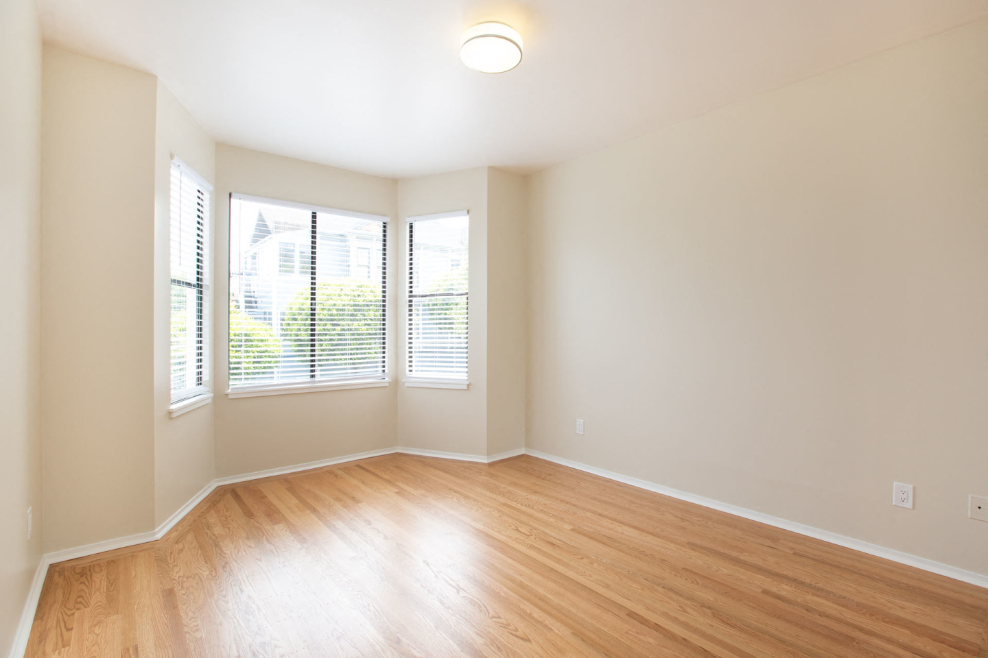 295 Castro Image 14