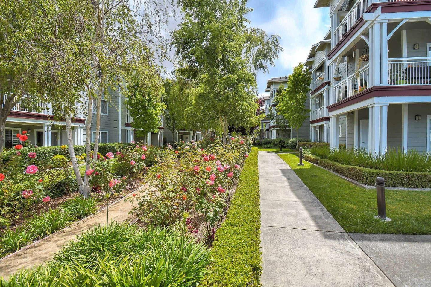 Oak View of Sonoma Hills Apartments Image 25