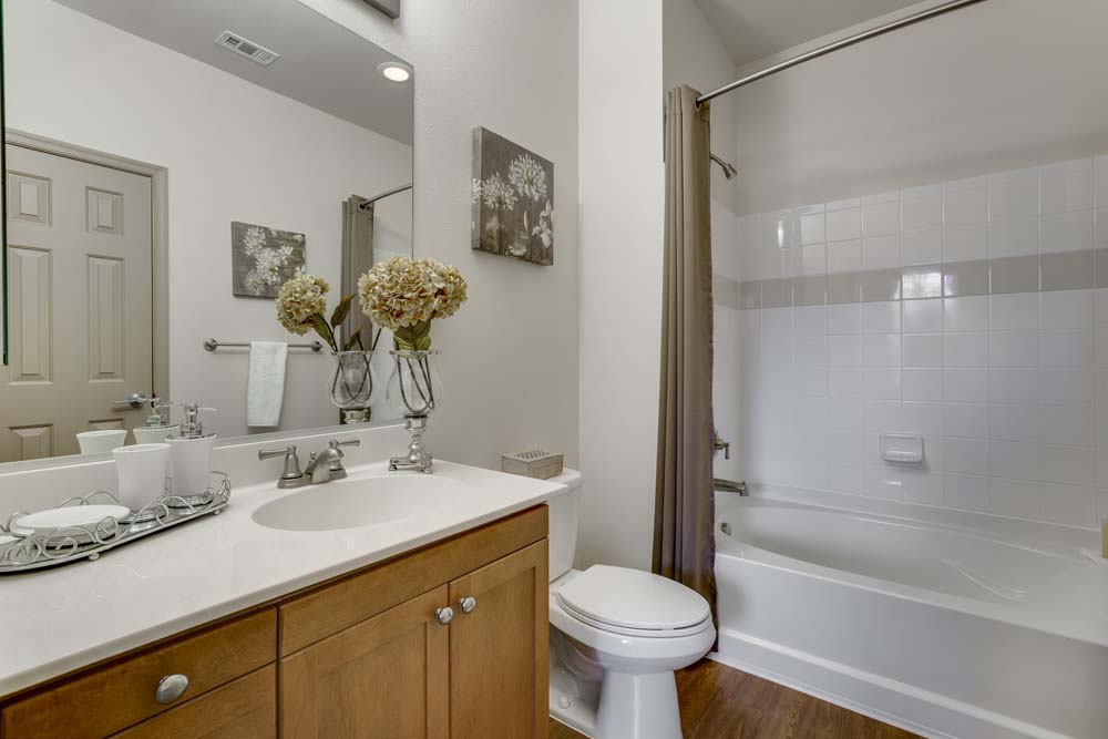 Summerfield at Morgan Metro Image 21