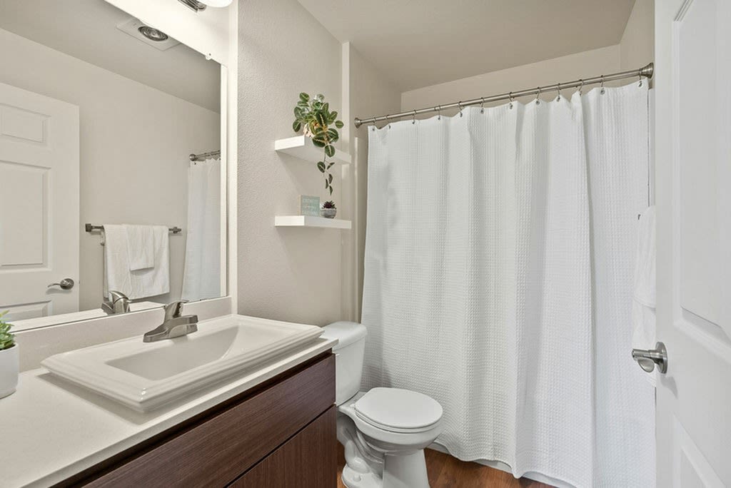Acero Ridgefield Image 15