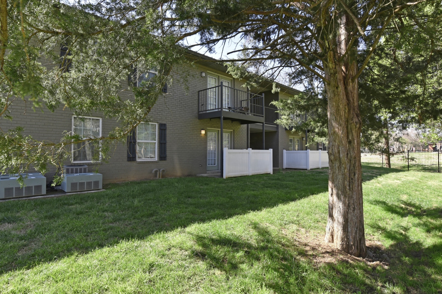 Southern Image 8