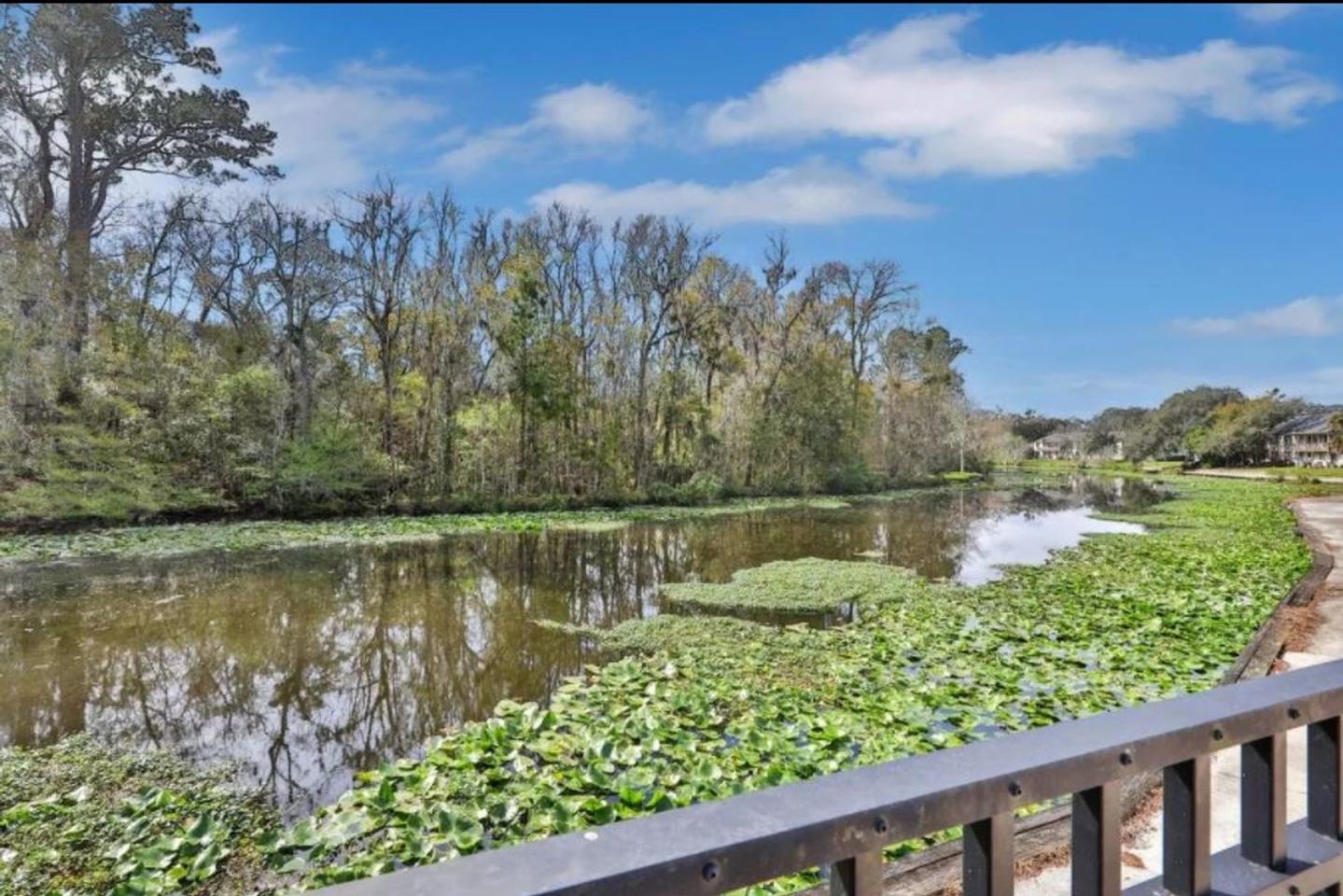 Riverbank Image 12
