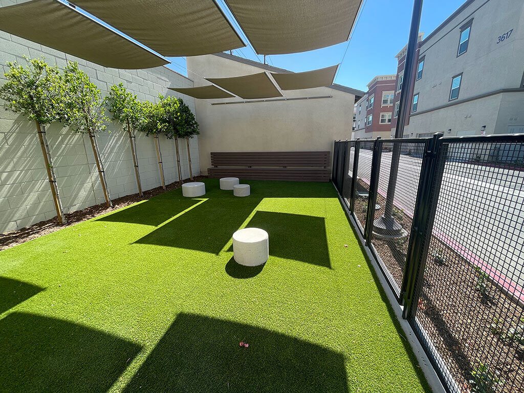 Citron Image 24