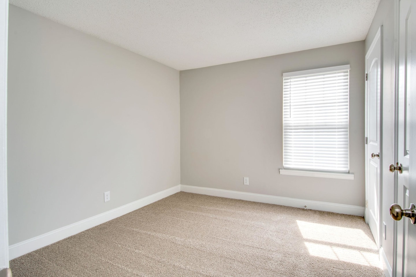 Brighton Valley Image 37