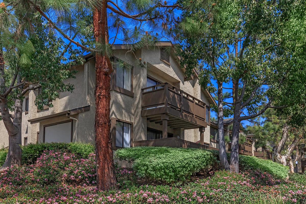 Spring Lakes Apartment Homes Image 27