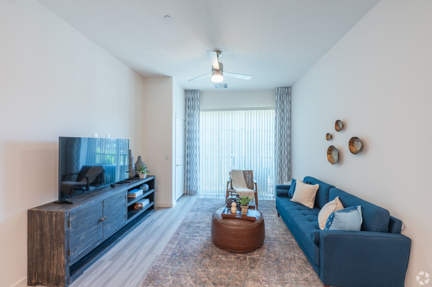 Coya Image 11