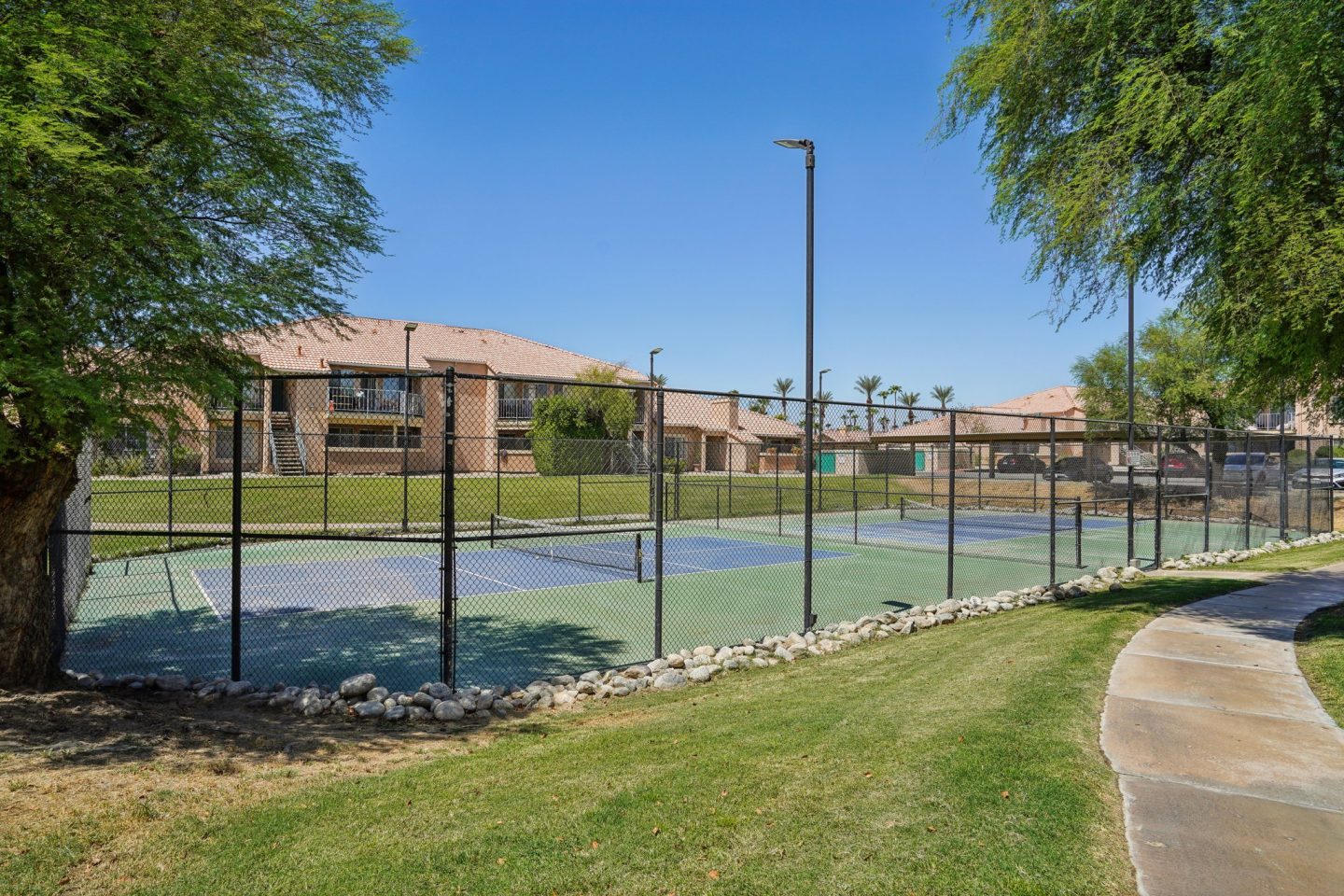 Desert Oasis Image 15