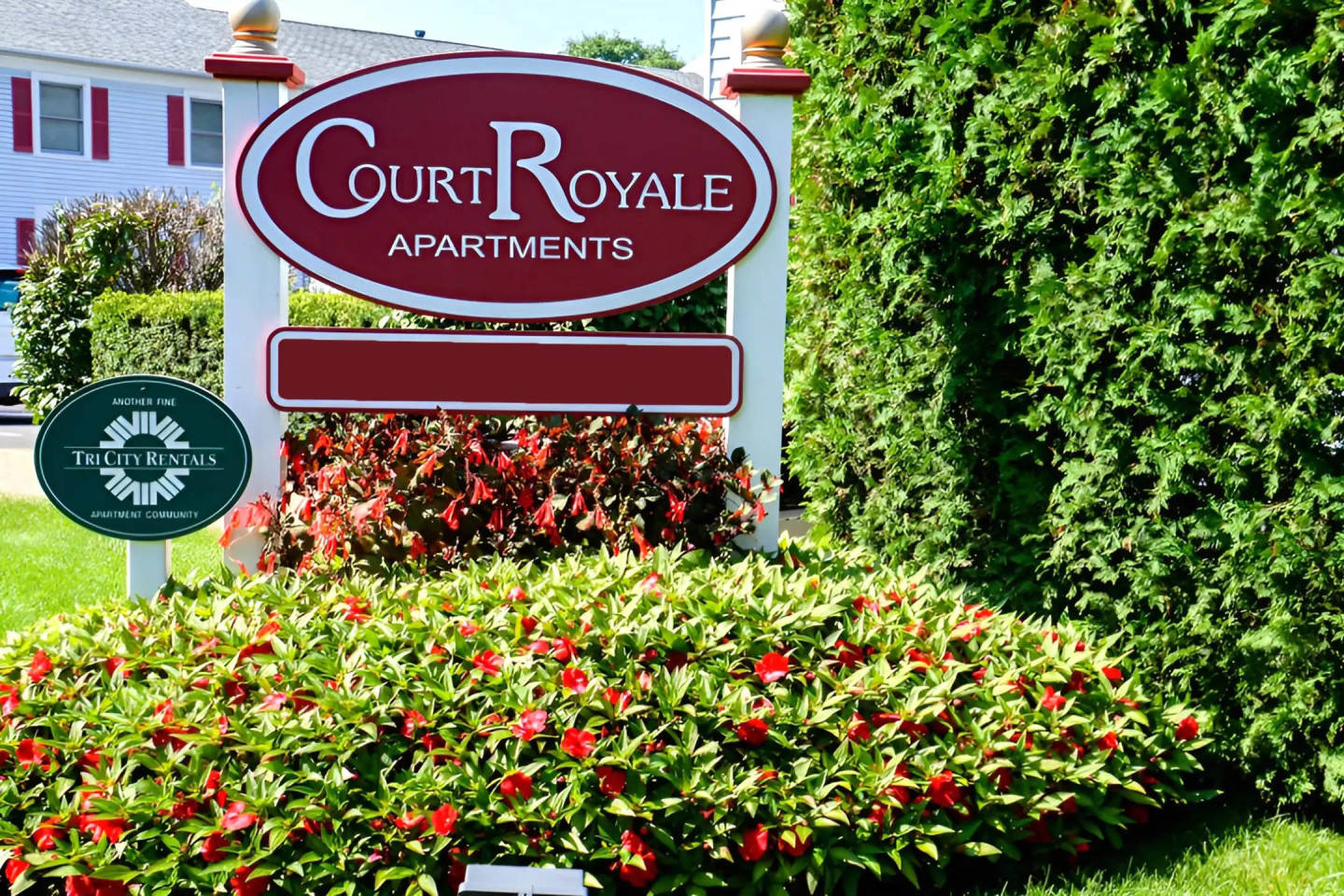 Court Royale Image 27
