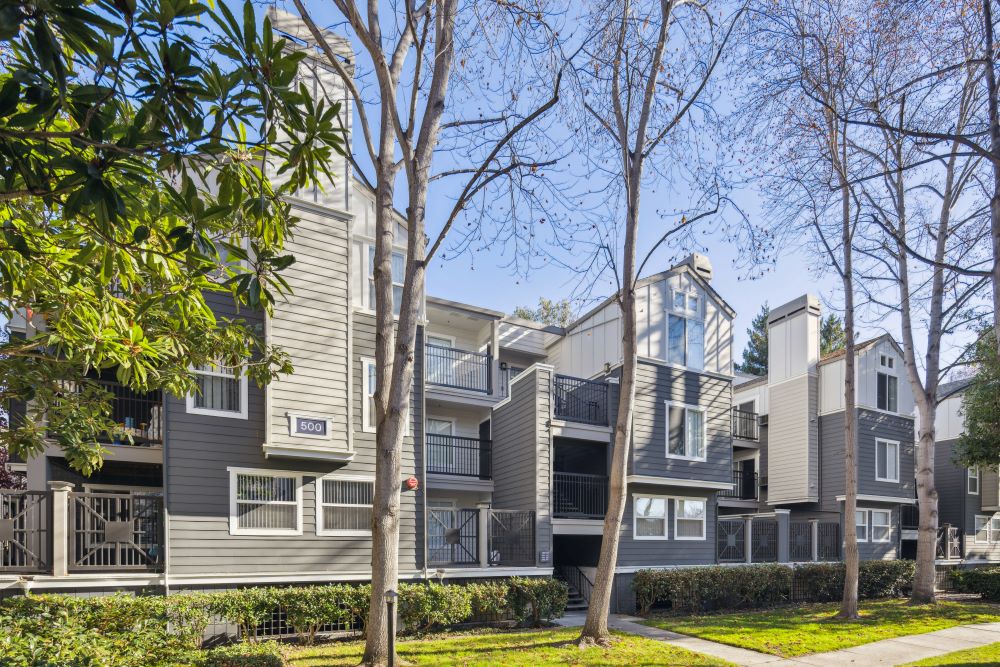 Sofi Sunnyvale Image 25