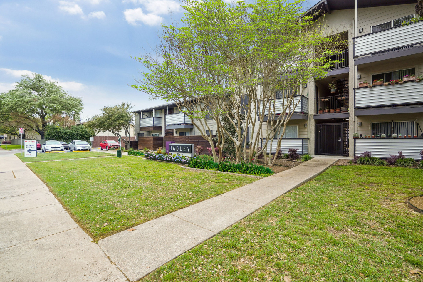 Hadley at Bellmar Image 10