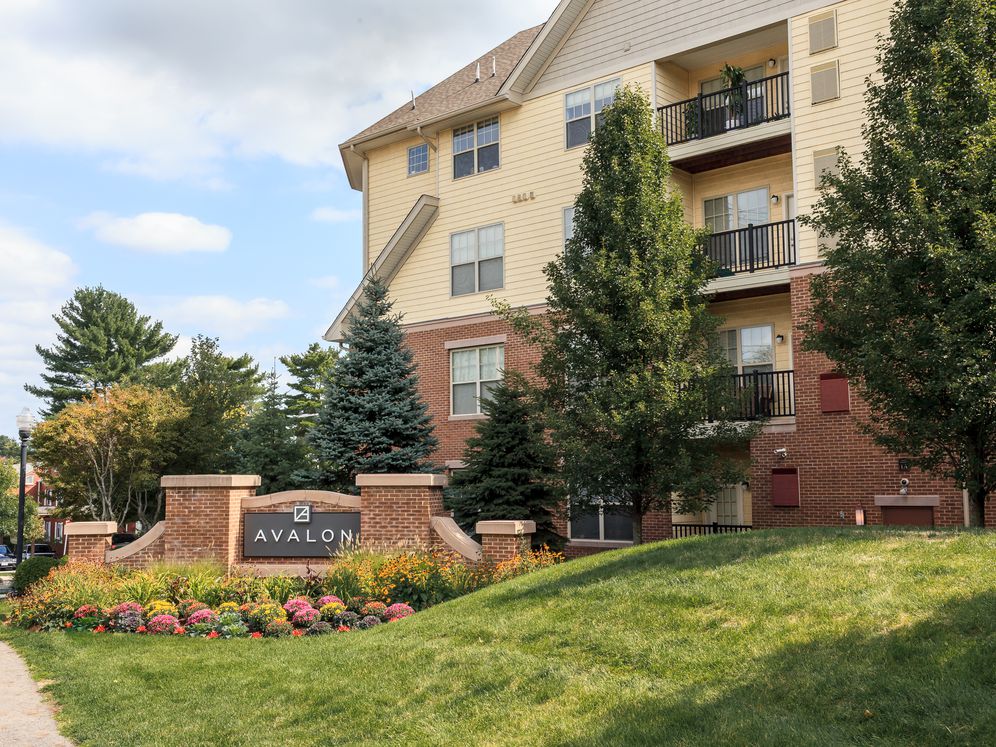 Avalon at Chestnut Hill Image 7