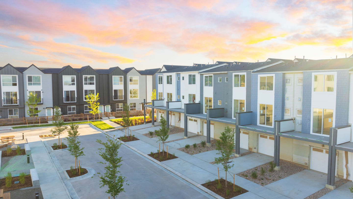 Lupine Longmont Image 2