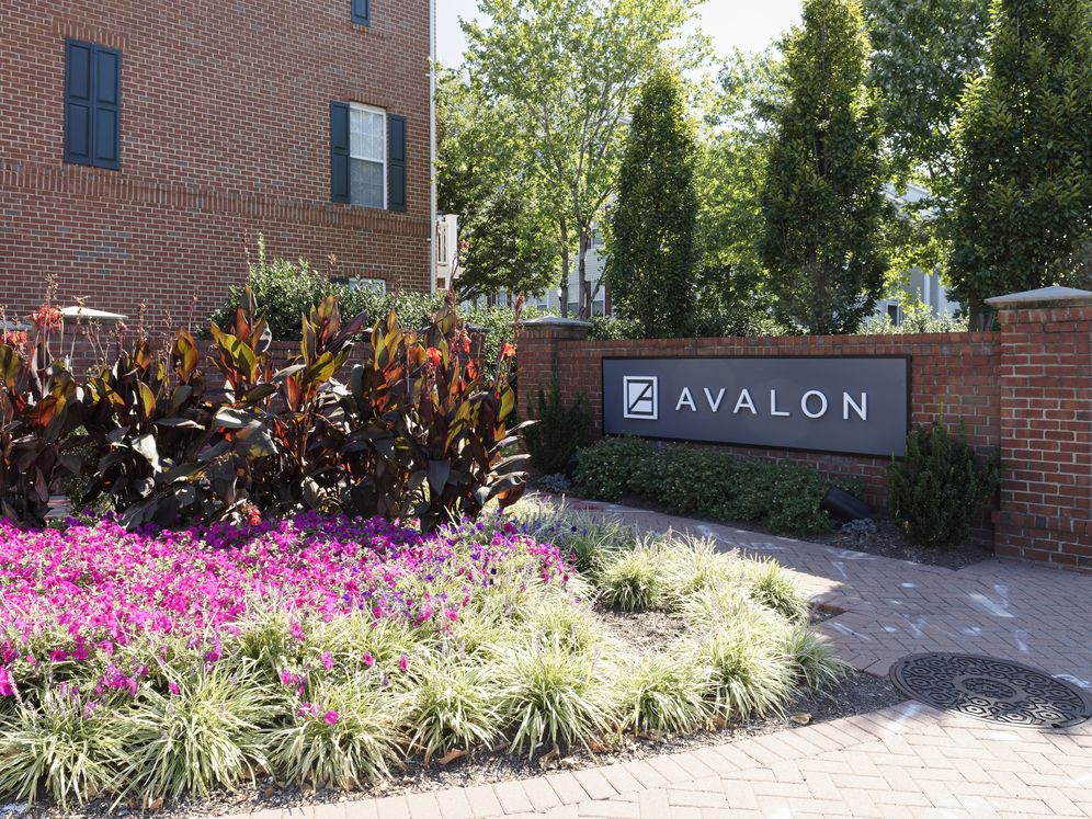 Avalon at Arlington Square Image 39