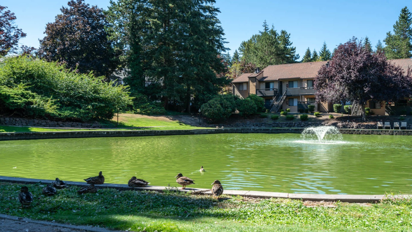 Bellevue Meadows Image 32