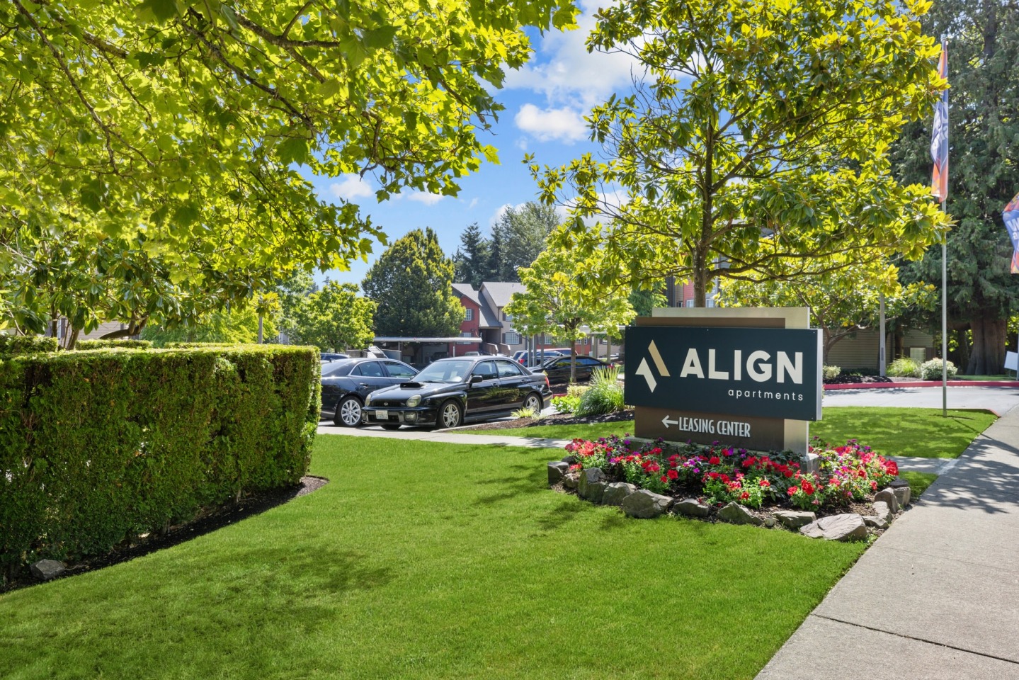 Align Image 5