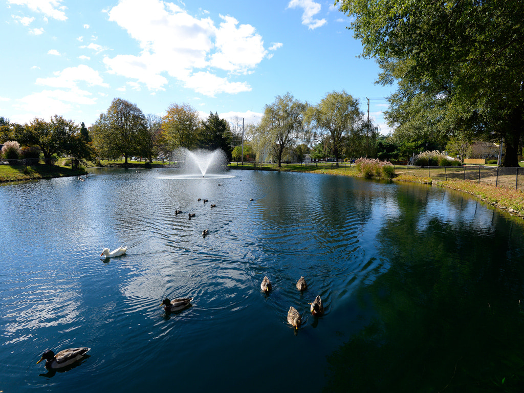 Woodsdale Image 2