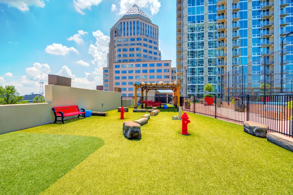 Skyhouse Uptown North Image 2