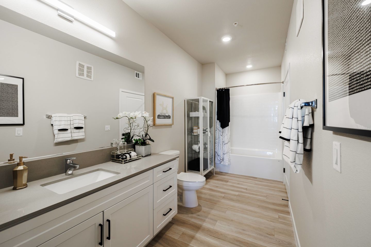 Sync Apartment Homes Image 10