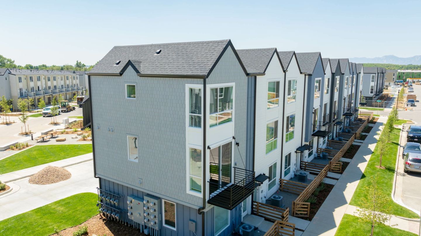 Lupine Longmont Image 4