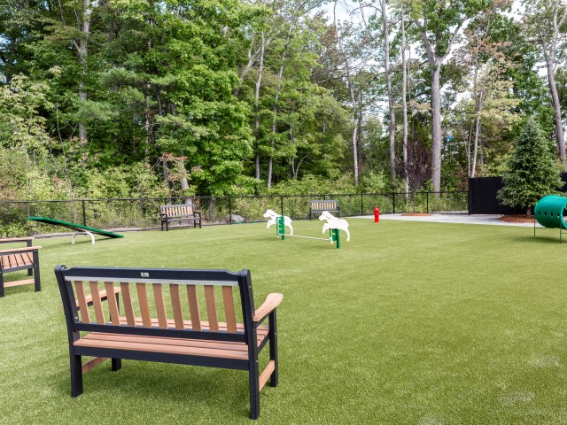 Balsam Place Image 6