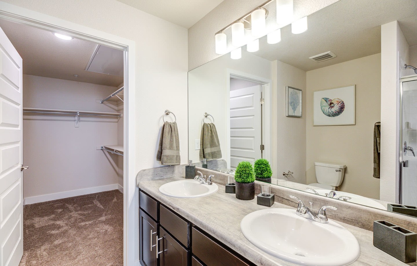Bucking Horse Apartments Image 7