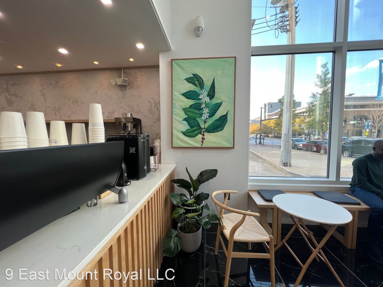 9 E Mt. Royal Image 12
