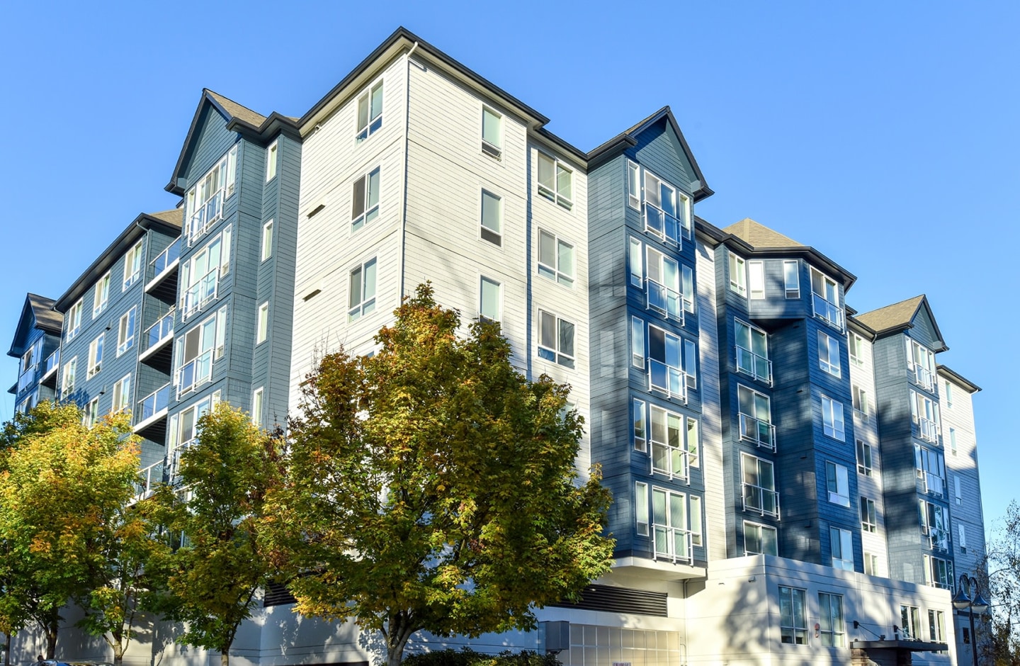 Apex Apartments Image 2