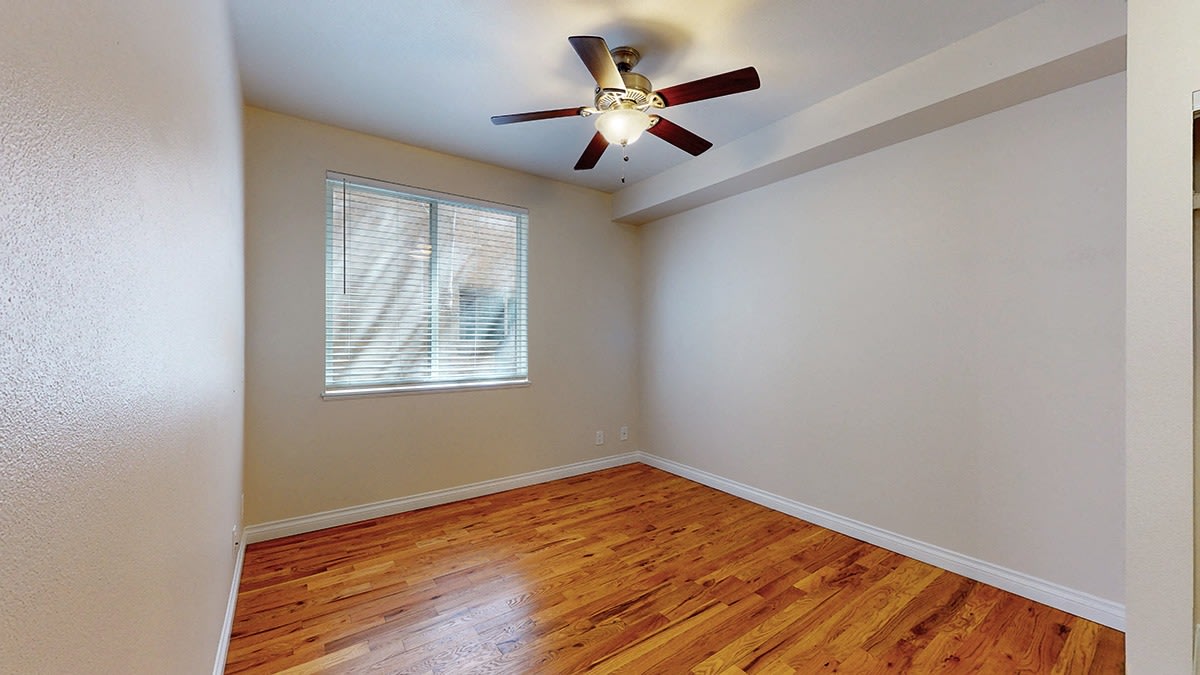 1485 Clayton Image 6