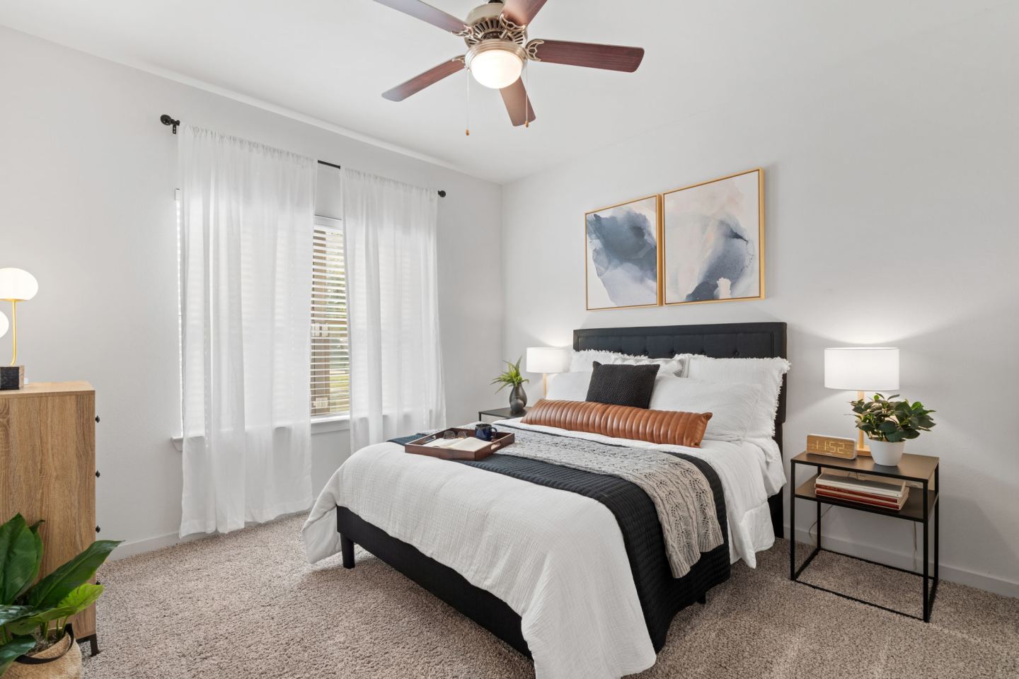 Water Oak Image 38