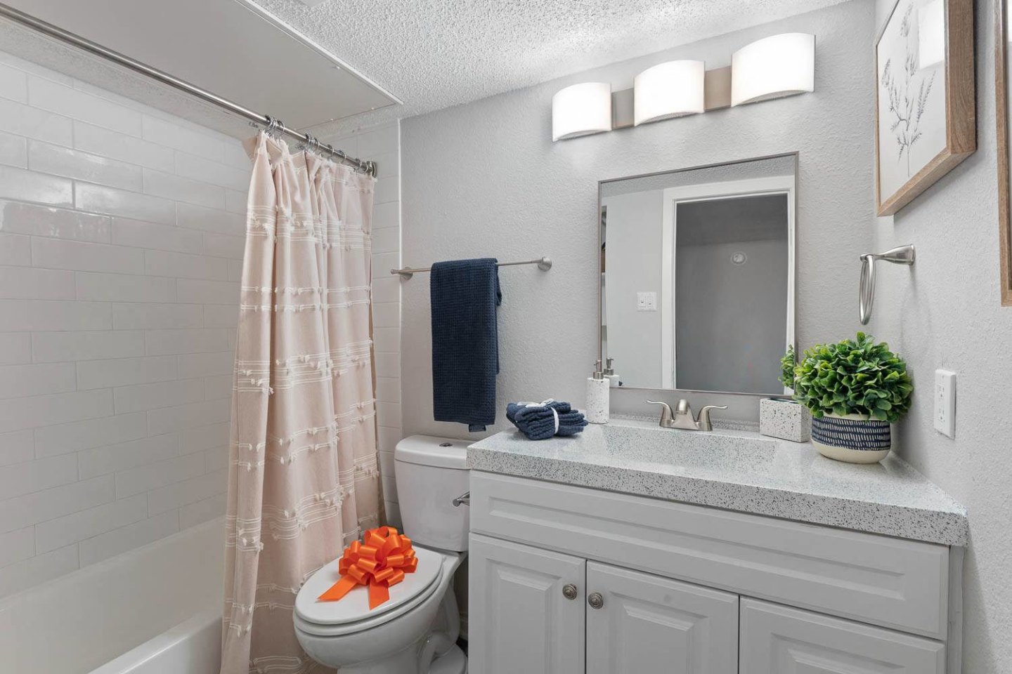 District 2308 Image 8