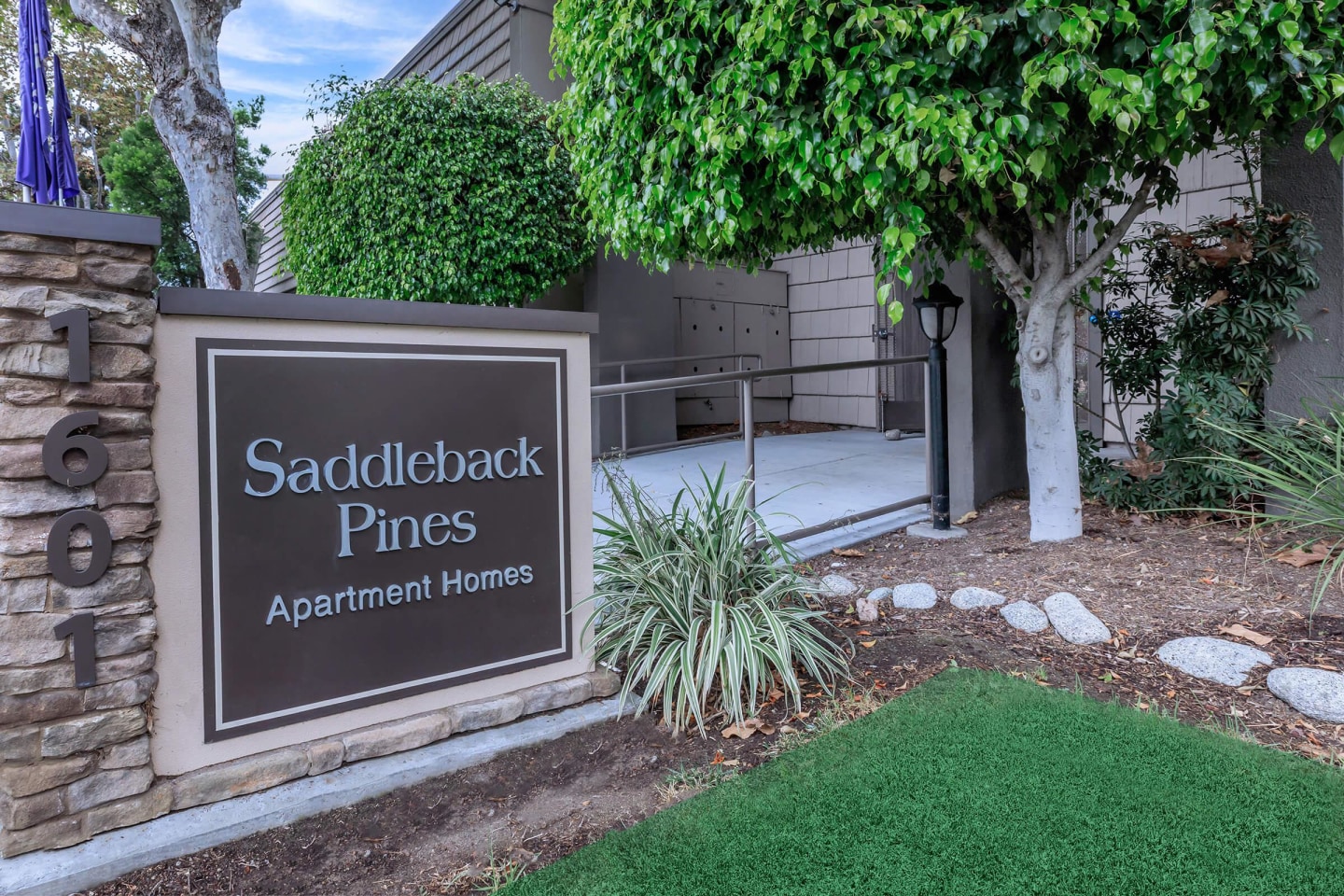 Saddleback Pines Image 11