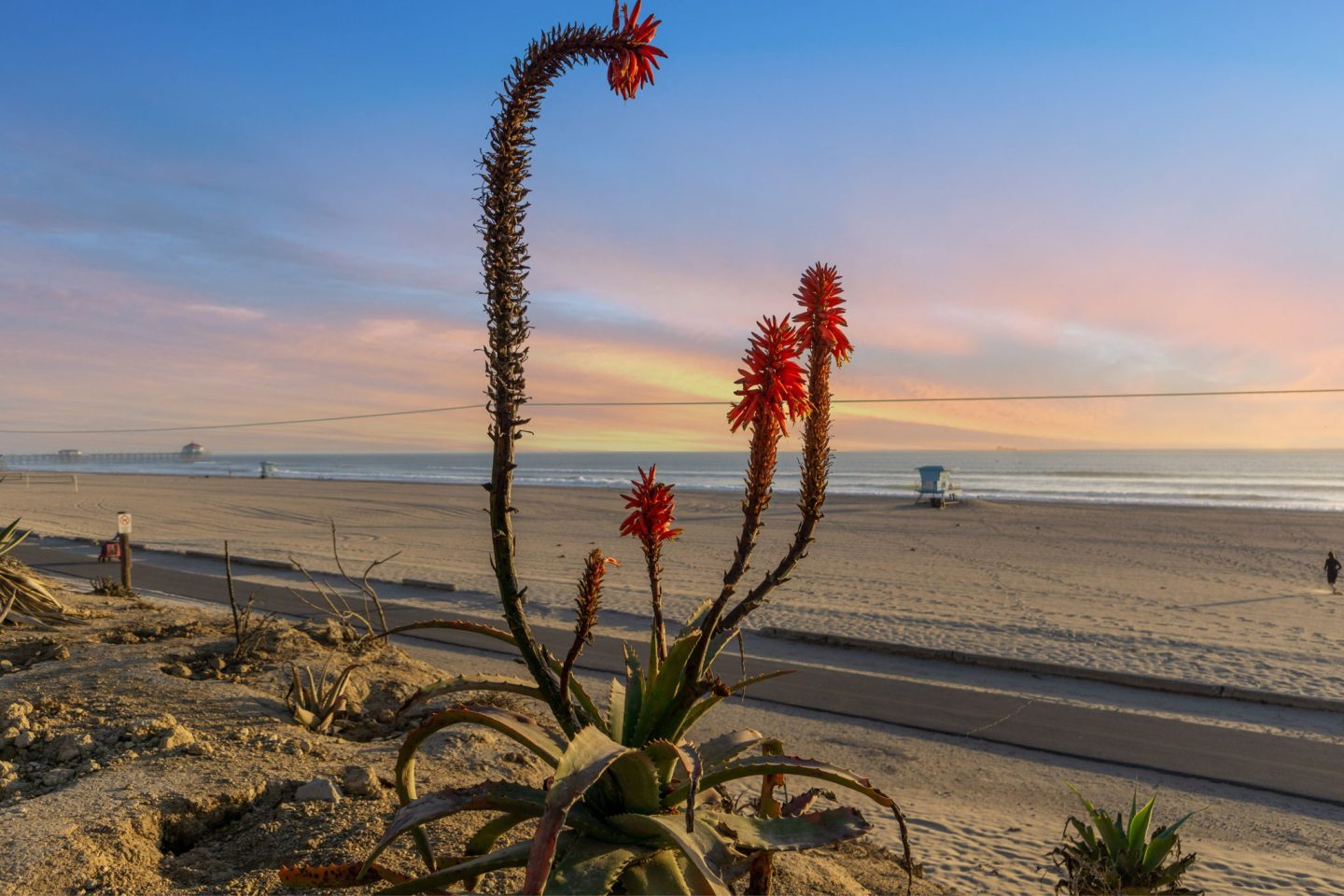 Ocean Breeze Terrace Image 31