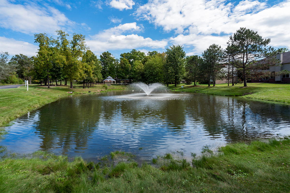 The Ascent at Farmington Hills Image 20