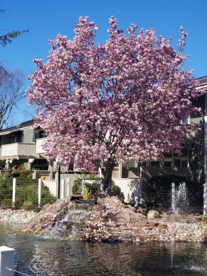 Lakeview Apartments Image 22