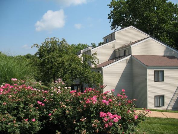 Willows on Weidman Image 1