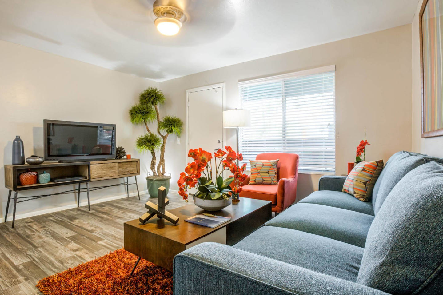 Agave Apartments Image 4