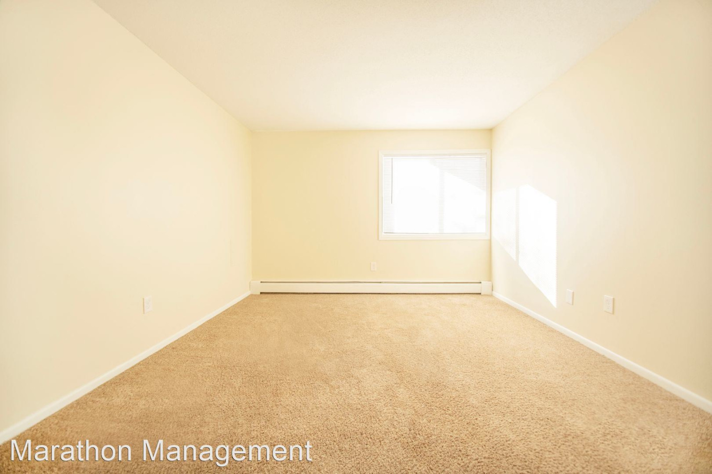 The Wellington Apartments Image 7