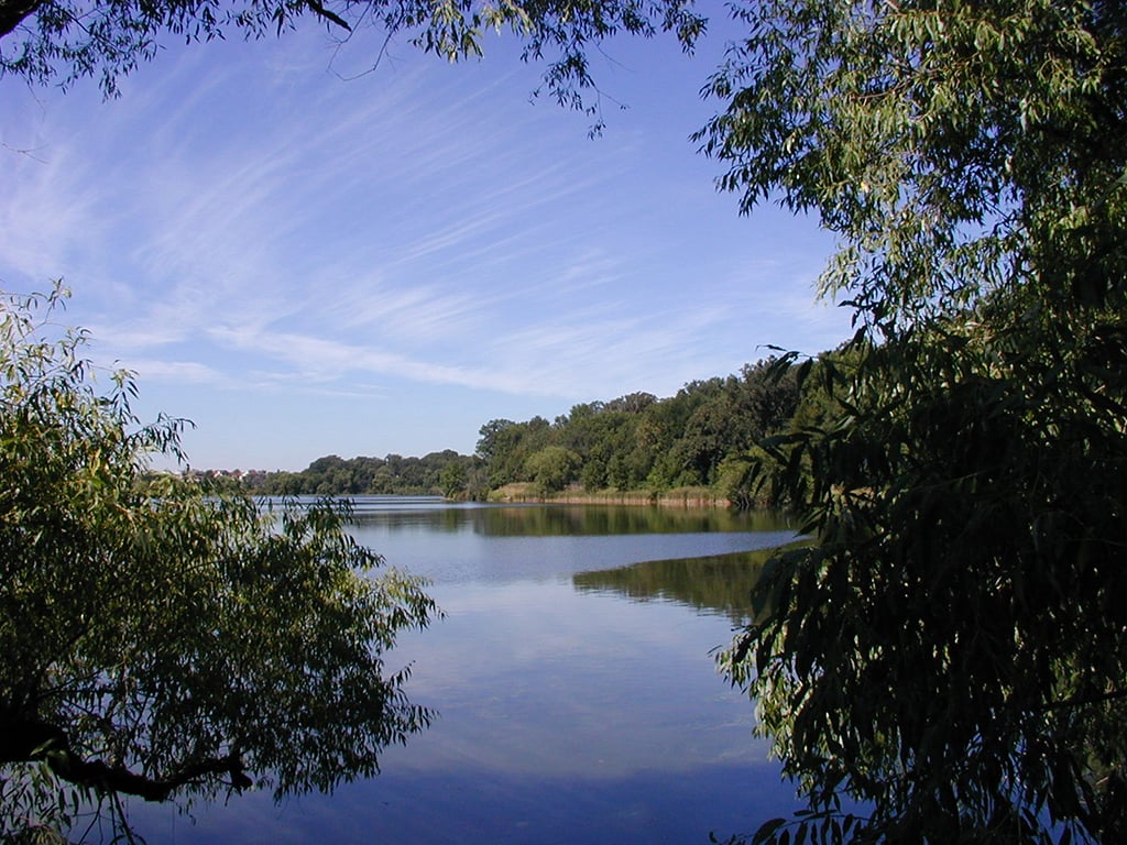 Lake Susan Apartments Image 3