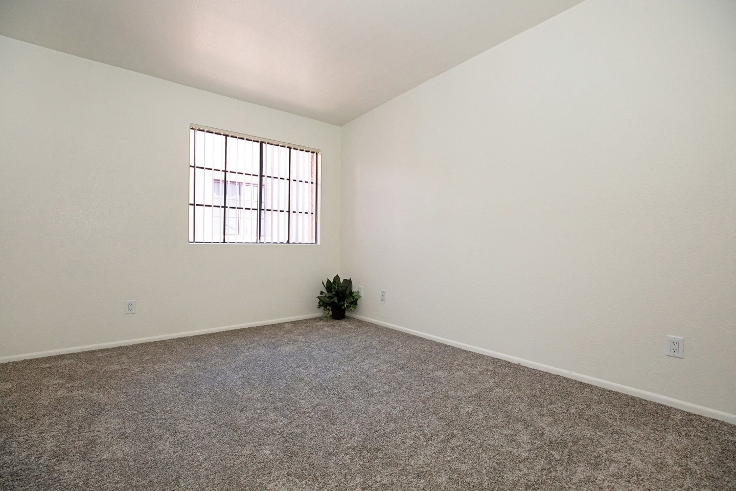 Winterhaven Terrace Image 35