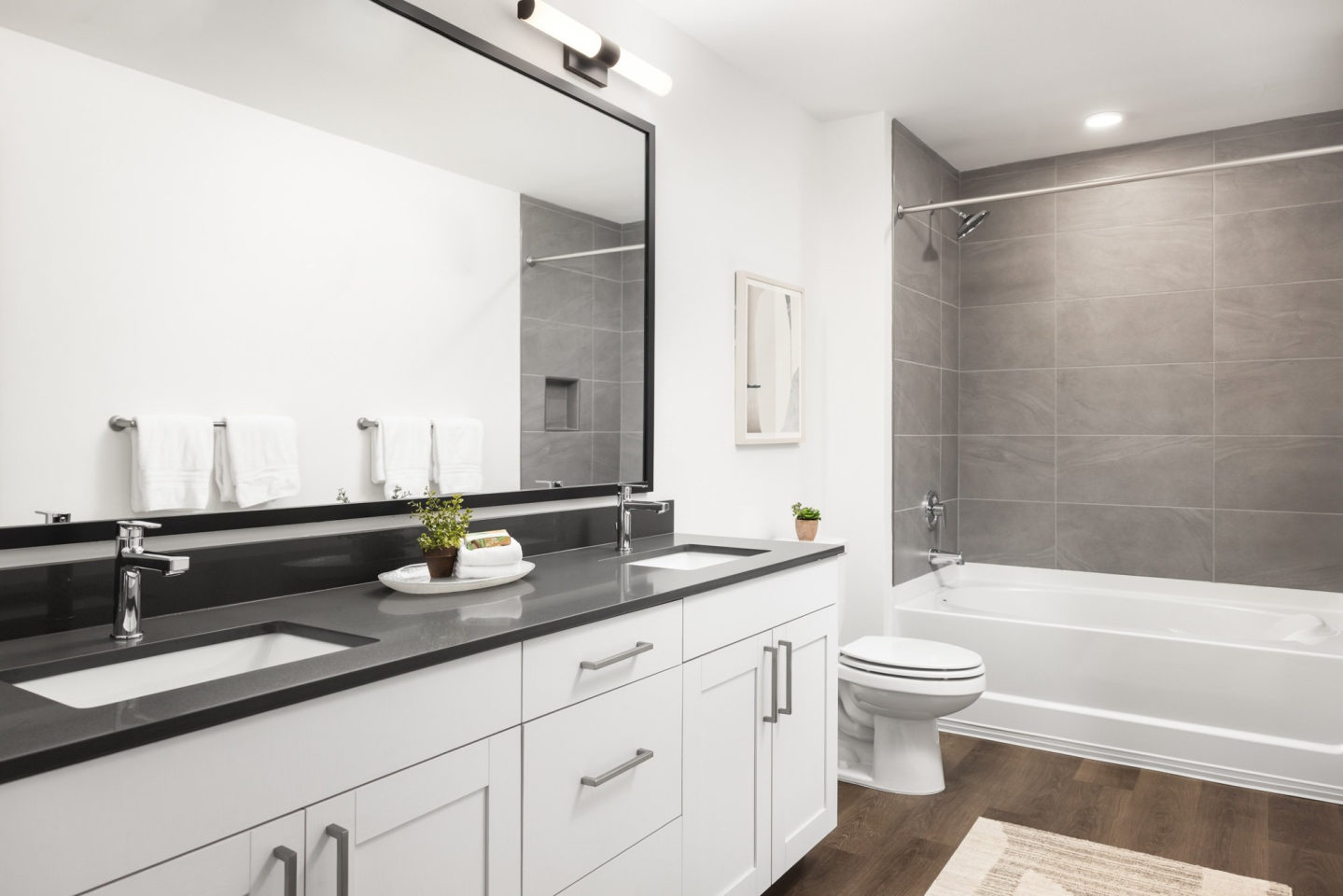 Alexan 505 Image 9