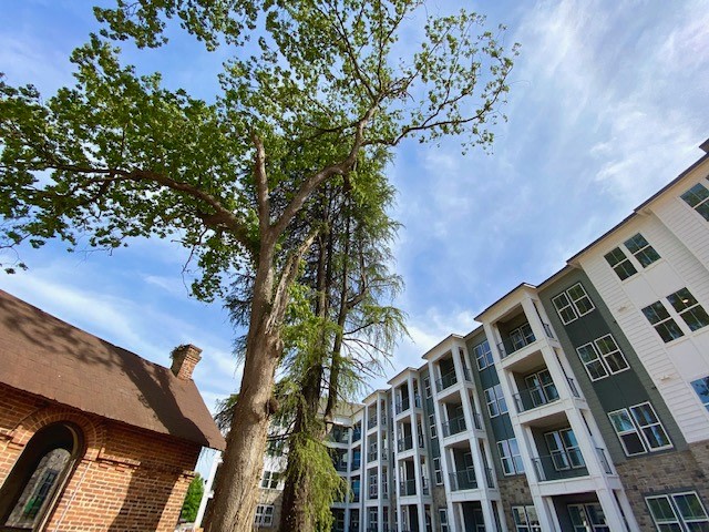 Bon Haven Image 24