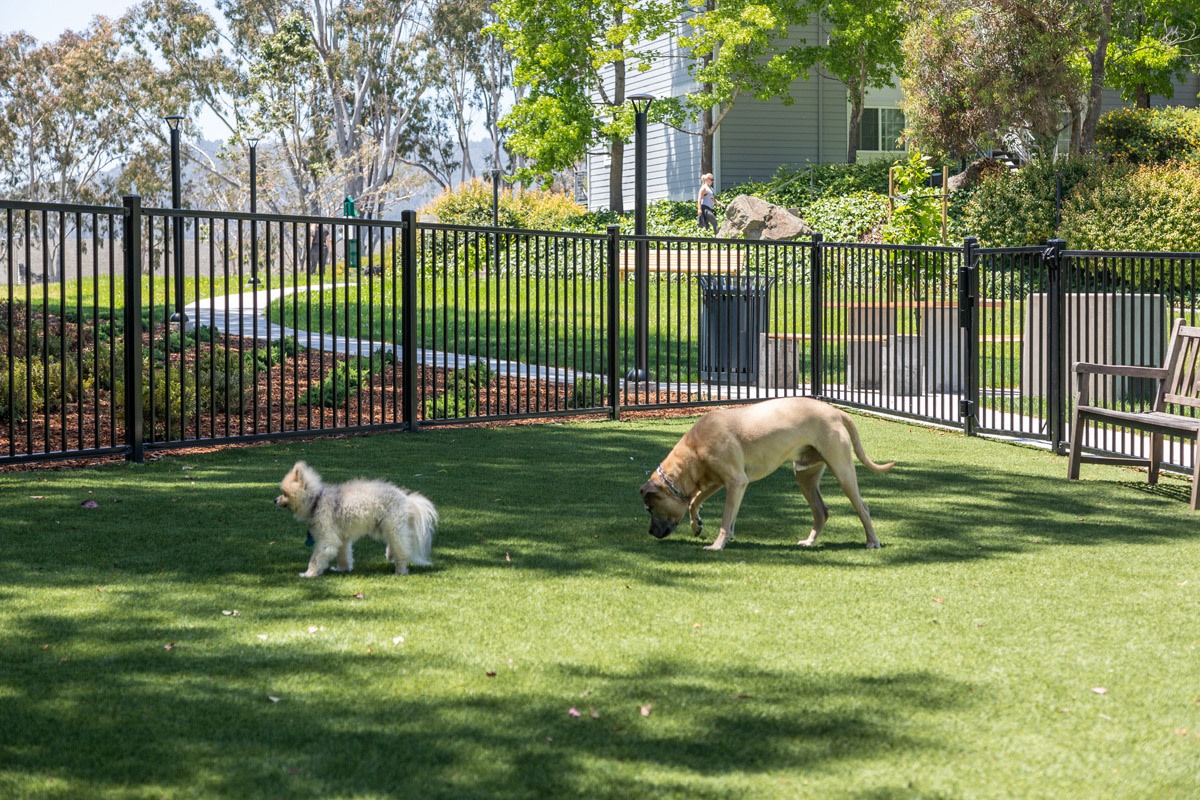 Serenity at Larkspur - Affordable Housing Image 20