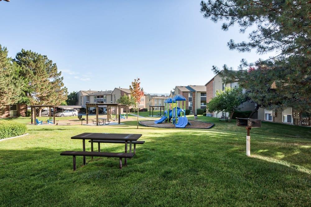 Cherry Creek Image 19