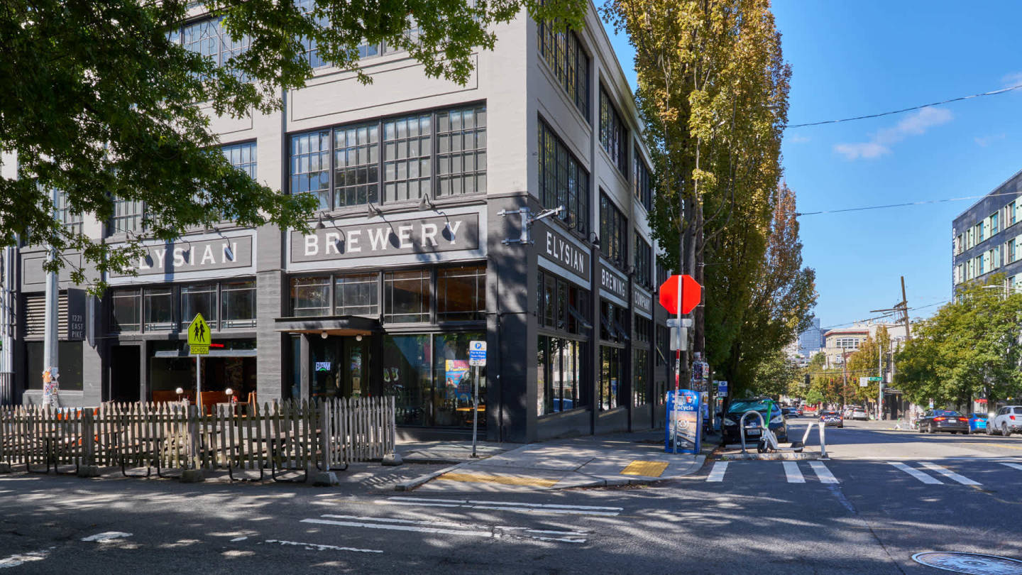 The Pearl Image 16
